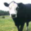 Image 01