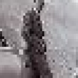 Image 01