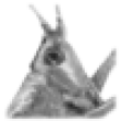 Image 01