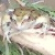 Image 01