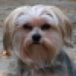 Image 01