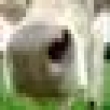Image 01