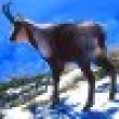 Image 01