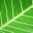 Image 01