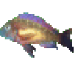 Image 01