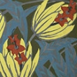 Image 01