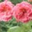 Image 01