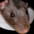 Image 01