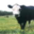 Image 01