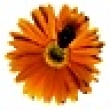 Image 01