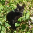 Image 01