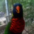 Image 01