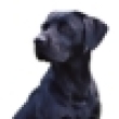 Image 01