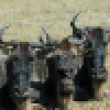 Image 01