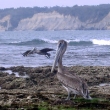 Image 01
