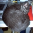 Image 01