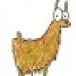 Image 01