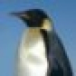 Image 01