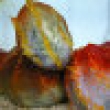 Image 01