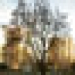Image 01