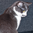 Image 01