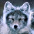Image 01