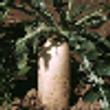 Image 01