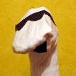 Image 01