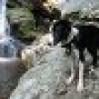 Image 01