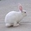 Image 01