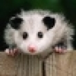 Image 01