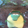 Image 01