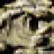 Image 01