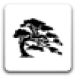 Image 01