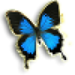 Image 01