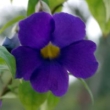 Image 01