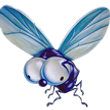 Image 01