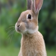Image 01