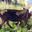 Image 01