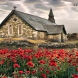Image 01