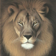 Image 01