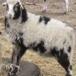 Image 01