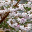 Image 01