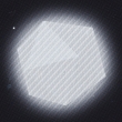 Image 01