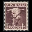 Image 01