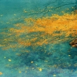 Image 01
