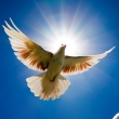 Image 01