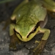 Image 01