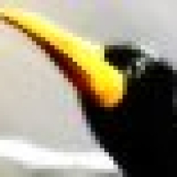 product-maker