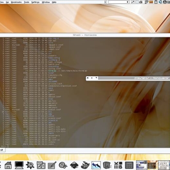 Reinhardt style SuSE 9.1 RPM
